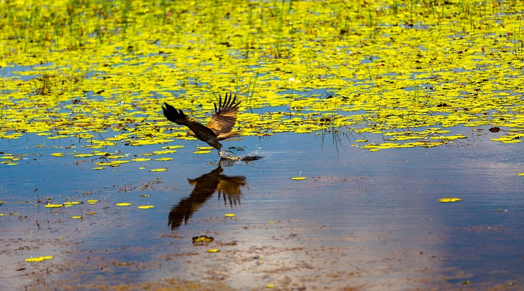 5day-kakadu-litchfield-and-katherine