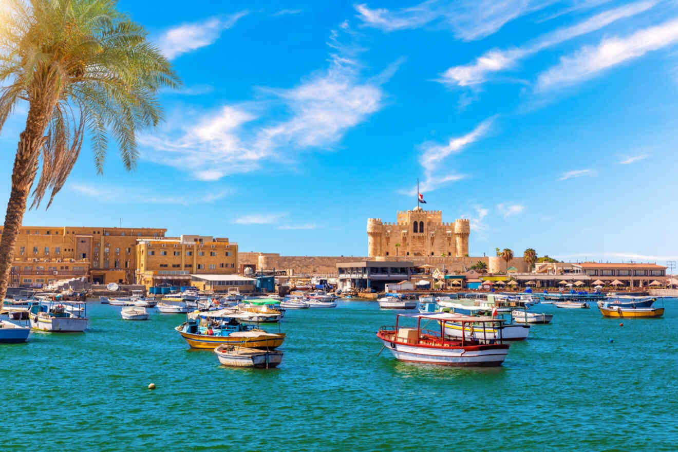 Boats are anchored in a blue harbor with a historic fortress and palm tree in the background under a clear sky in Alexandria