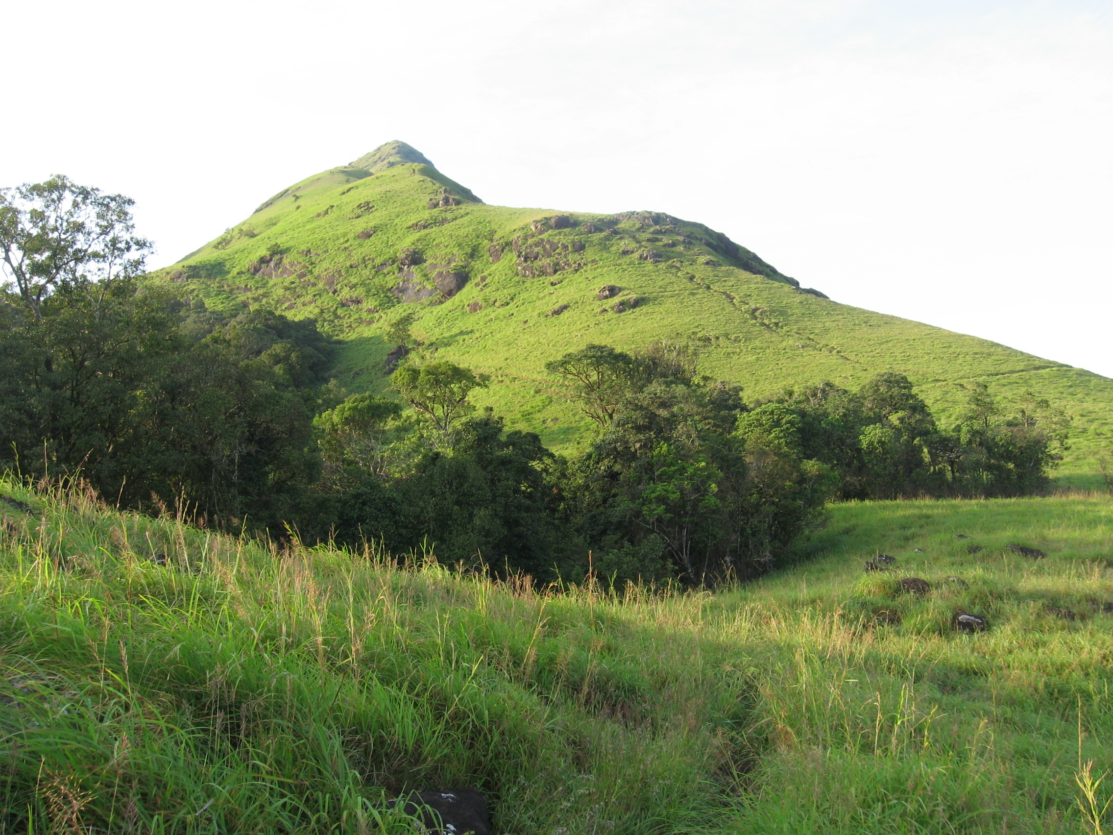 Chembra Peak Waynad