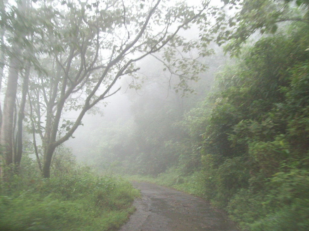 Gavi Forest, Pathanamthitta