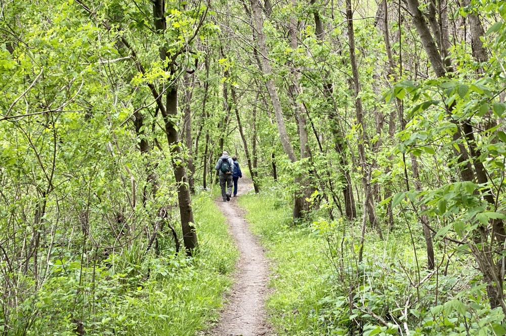 hiking trail