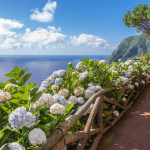 Hiking and Sipping: Portugal’s Best Trails