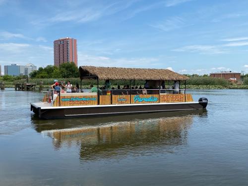 Paradise Tikki Tours