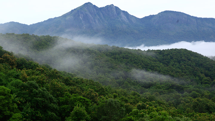 Silent Valley National Park, Palakkad