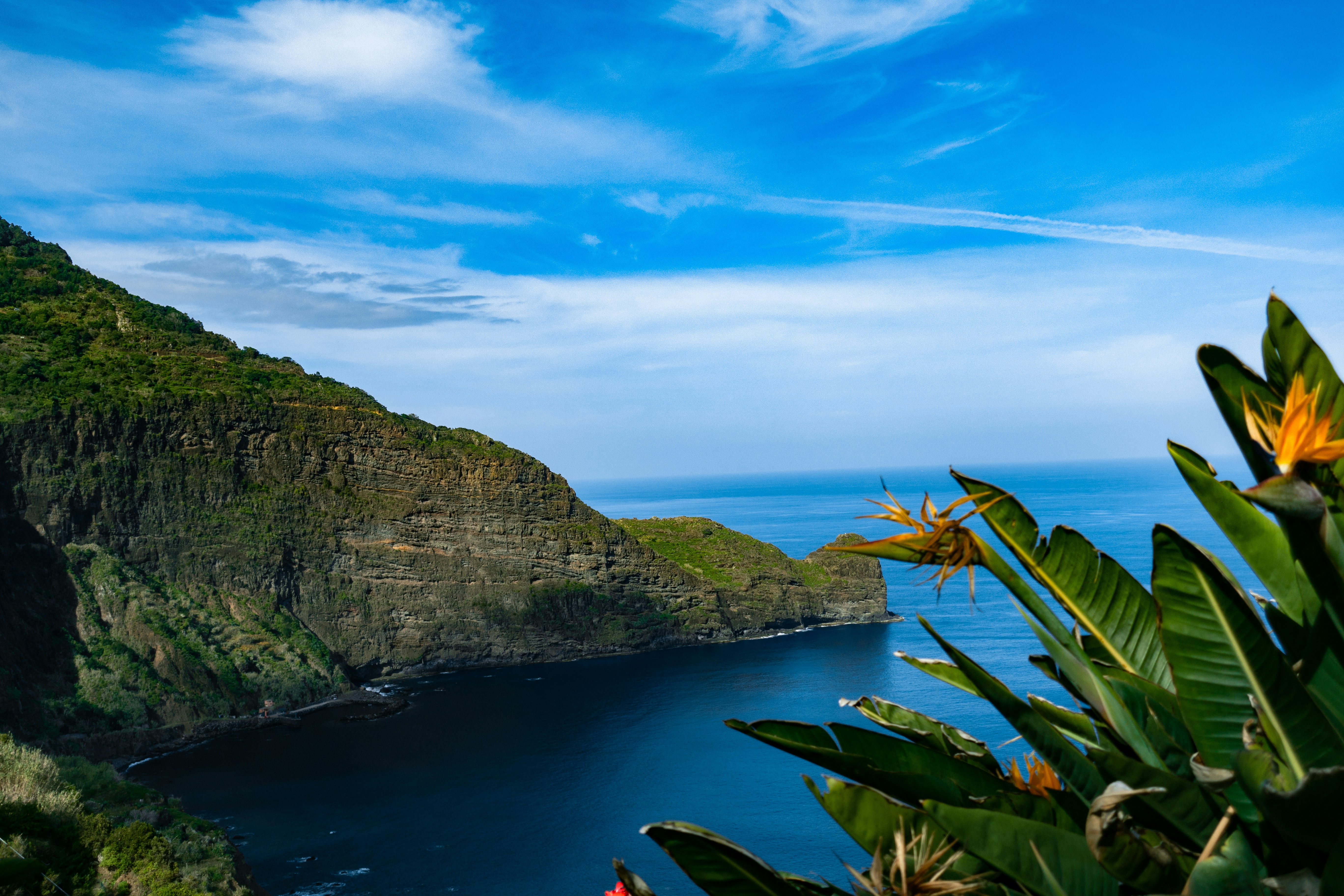 Discover the Magic of Madeira: Portugal’s Atlantic Gem for Wine Lovers and Nature Seekers
